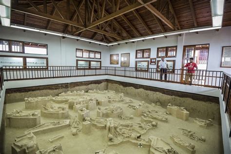 Explorando El Pasado De Cuba La Historia En Yacimientos Arqueol Gicos