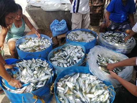 Sariwang Isda Ibinigay Ng Libre Sa Bayan Ng Roxas