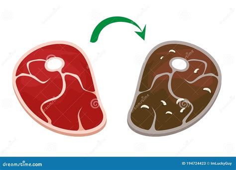 Fresh Delicious Meat Steak Becomes Rotten Isolated Stock Illustration