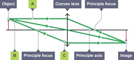 Ray Diagrams For Diverging Lenses - Wiring Diagram Pictures