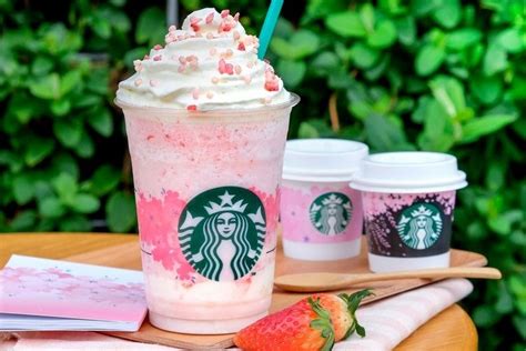 Pink Drink Rezept So schnell wird das Trendgetränk zubereitet