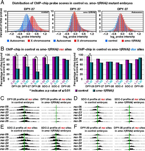 Figure 2 From SUMOylation Is Essential For Sex Specific Assembly And