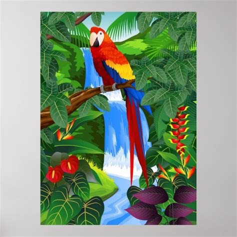 Parrot Posters And Prints Zazzle