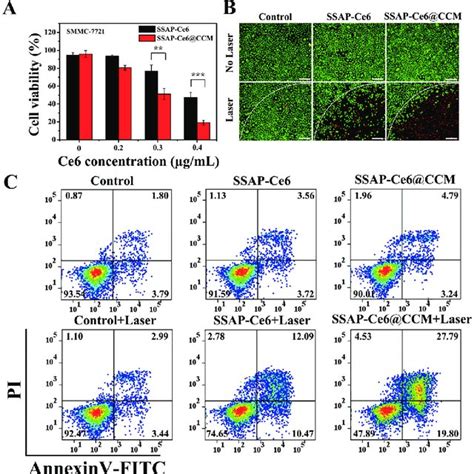 A Fluorescence Microscopy Images Of The ROS Indicator DCFH DA In