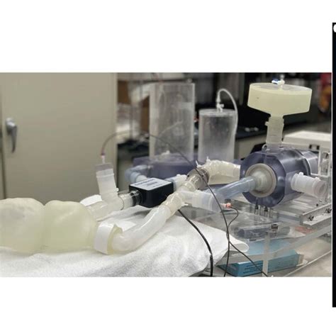 A Patient Specific Cd Printed Model B Mock Circulatory Flow Loop