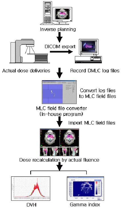 The Procedure Of Inverse Dose Verification For Imrt Patient Specific