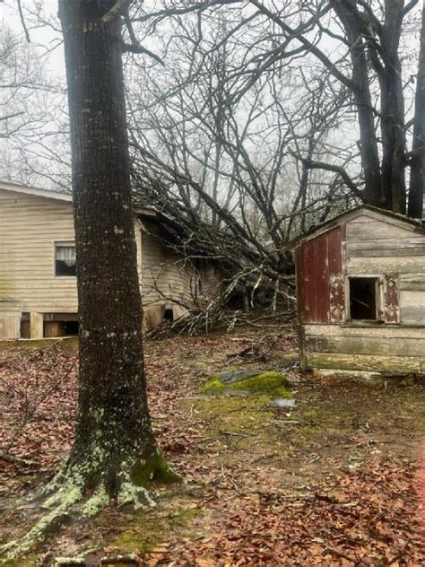 Possible tornado touches down in Burke County | WJBF