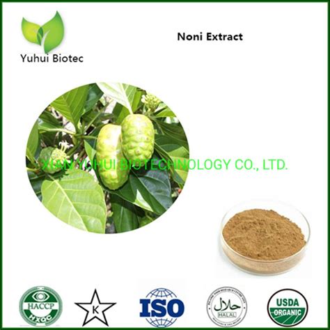 Natural Organic Morinda Citrifolia Noni Fruit Powder China Morinda