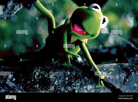 KERMIT, KERMIT'S SWAMP YEARS, 2002 Stock Photo - Alamy