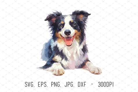 Cute Watercolor Border Collie Dog Png Graphic By Artcursor · Creative