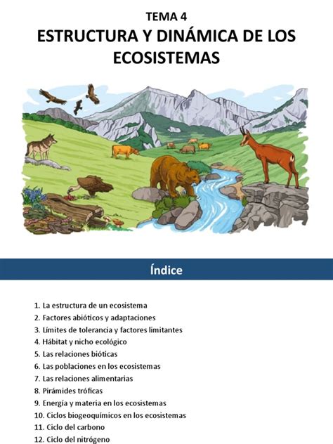 Estructura Y Dinámica De Los Ecosistemas Pdf Ecología Ecosistema