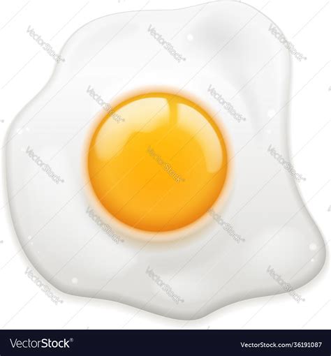 Fried egg Royalty Free Vector Image - VectorStock