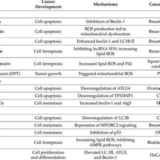 Summary of autophagy inhibitors in cancer cells. | Download Scientific ...