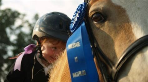 Breed Standard American Haflinger Alliance