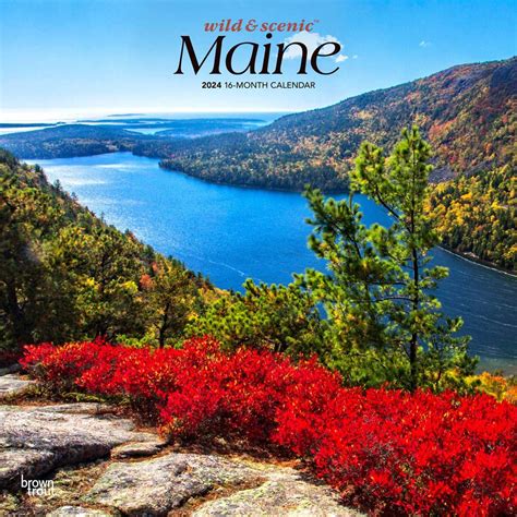 Maine Wild Scenic Square Wall Calendar Browntrout