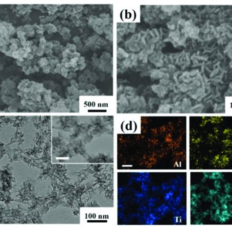 A Low And B High Magnified Sem Images C Tem Images And D