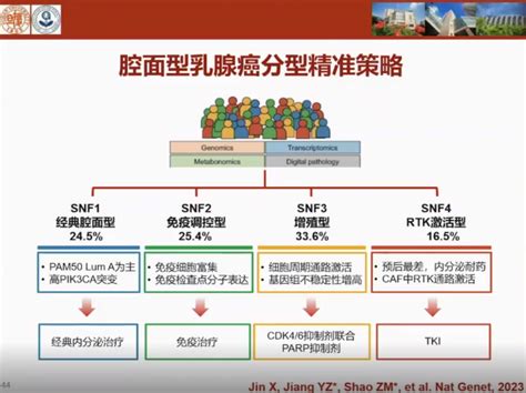 2024南北汇｜邵志敏教授：精准分型时代下的乳腺癌治疗 肿瘤瞭望