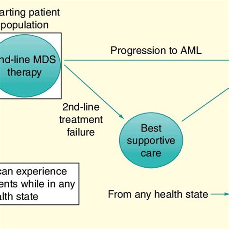 Model Schematic The Schematic Depicts A Markov Model That Simulates Download Scientific