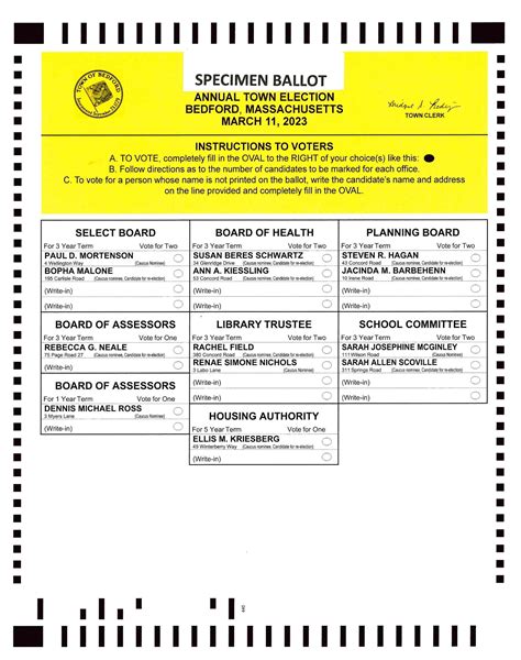 Sample Voting Ballot Template