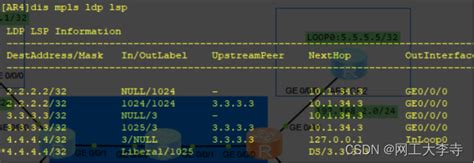 MPLS VPN技术简介与基本配置案例 mpls配置实例 CSDN博客