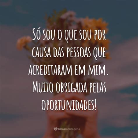 Frases De Agradecimento Profissional Para Celebrar Suas