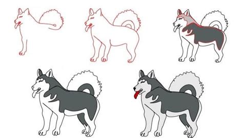 Comment Dessiner Id Es De Chiens Husky Dessin Facile