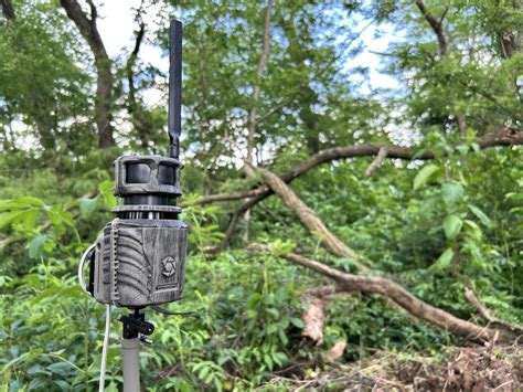 Ways To Get The Best Cellular Trail Camera Photos Huntstand