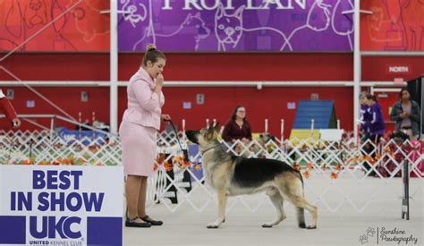 All About Ukc American Dog Fancier