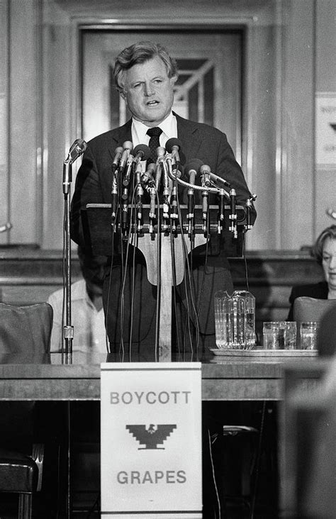 Cesar Chavez Grape Boycott 1985 Photograph by Hector Ericksen - Fine ...