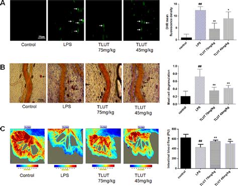 The Effect Of Luteolin On Lps Induced Hydrogen Peroxide Production