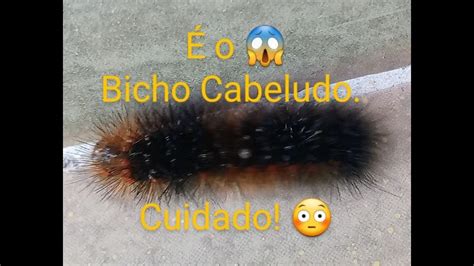 O Bicho Cabeludo Preto Taturana Ii Youtube