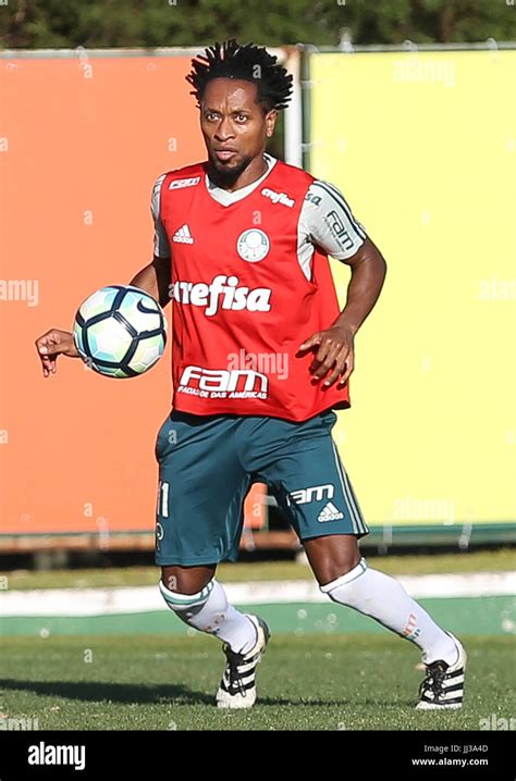 SÃO PAULO, SP - 17.07.2017: TREINO DO PALMEIRAS - Player Zé Roberto, from SE Palmeiras, during ...