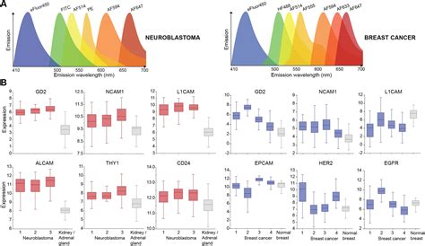 A Multispectral D Live Organoid Imaging Platform To Screen Probes For