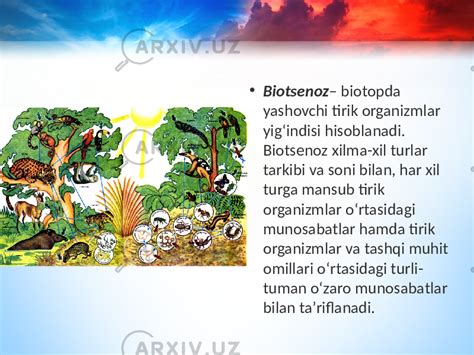 Ekosistemalarning Tarkibiy Qismlari 11 Sinf Biologiya Slaydlar Maktab Darsliklari Boyicha