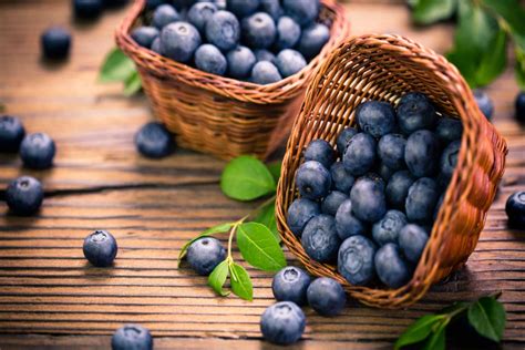 Blueberries For Babies When To Introduce Benefits And Side Effects