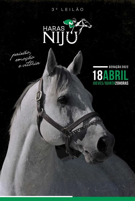 LEILÃO VIRTUAL HARAS NIJÚ 2024 Agencia TBS