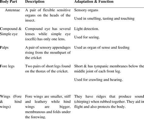 Cricket Body parts, Adaptations and Functions | Download Scientific Diagram