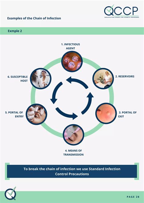section   chain  infectionpdf