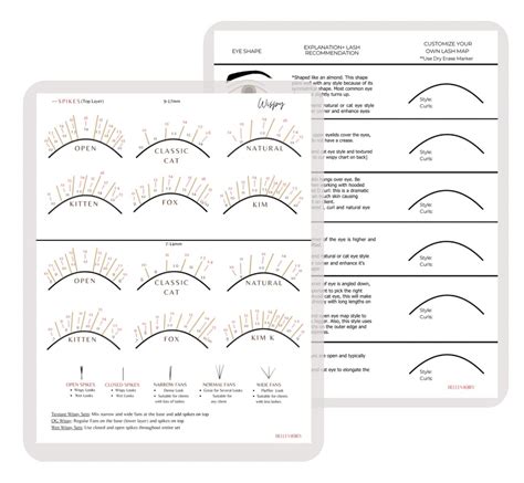 Bellemory Wispy Eye Shape Lash Mapping Chart Eyelash Extension Beginner Training