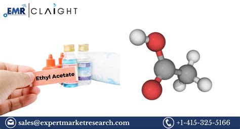 Global Ethyl Acetate Market Size Share Price Trends Growth Report