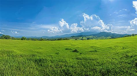 Panorama Landscape View Of Green Grass Field Agent Blue Sky Background