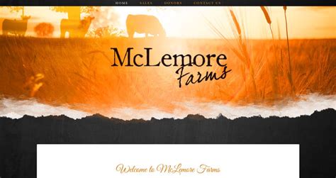 McLemore Farms Ranch House Designs Inc