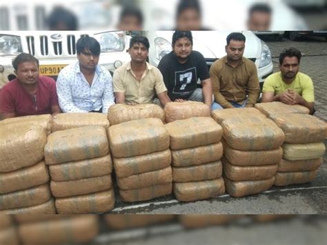 Greater Noida Six Smugglers Arrested With Ganja Worth Rs 1 25 Crore