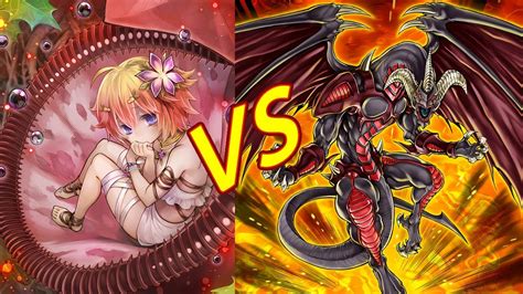 Traptrix Vs Red Dragon Archfiend Yu Gi Oh Live Ots Locals Duel Vs