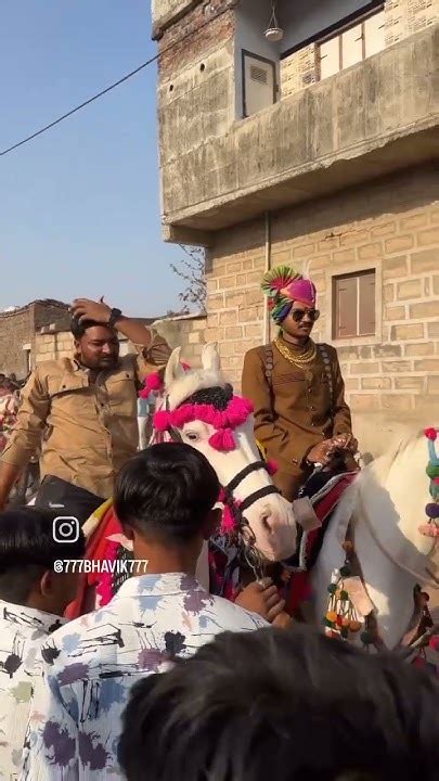 ️ Ha Bhai Ha ️ Horse Attitude Short Video Tandig 🏇🐎🏇🏇 Youtube