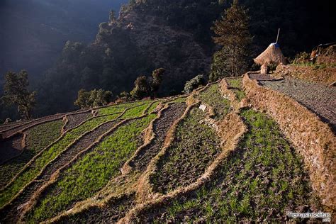 Trekking Poon Hill I Nayapul Tikhedhunga