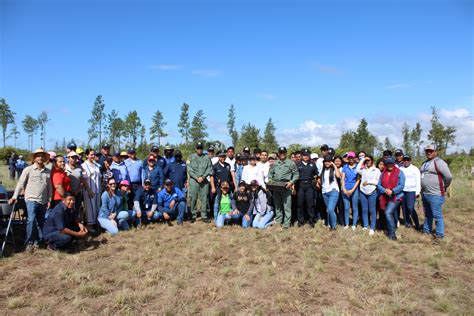 MiAMBIENTE Veraguas realiza Jornada de Restauración Forestal PNRF 2023