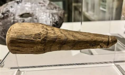 Veni Vidi Vici Roman Pestle Found In Ditch Could Be A Dildo The Independent