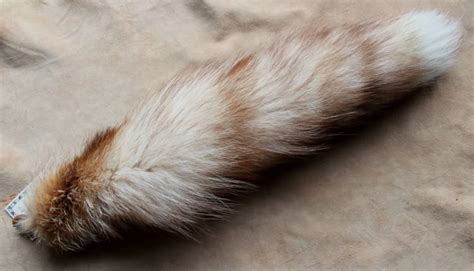 crystal fox tail  lupa   httpthegreenwolfetsycom