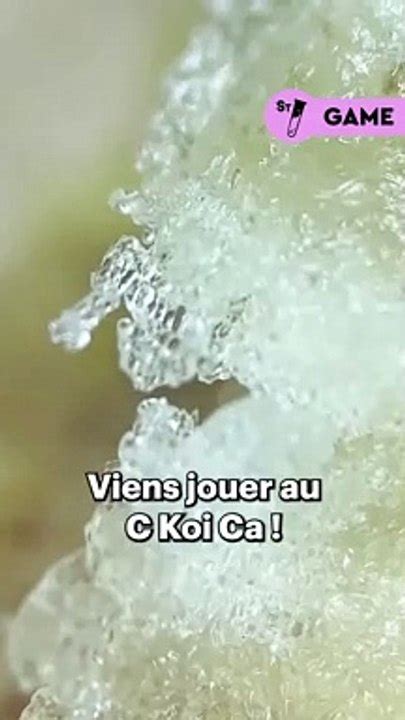 Devine ce quon te montre au microscope Donne nous ta réponse dans